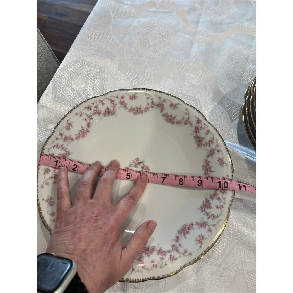 Bridal Rose Vintage‎ Original Lot of 18 Bavaria Schumann Plates Western Germany
